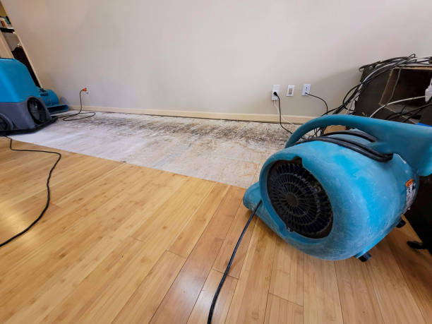 Professional Flood Damage Cleanup technician working in Fallbrook, CA